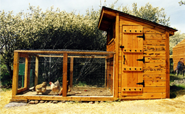 Build A Chicken Coop